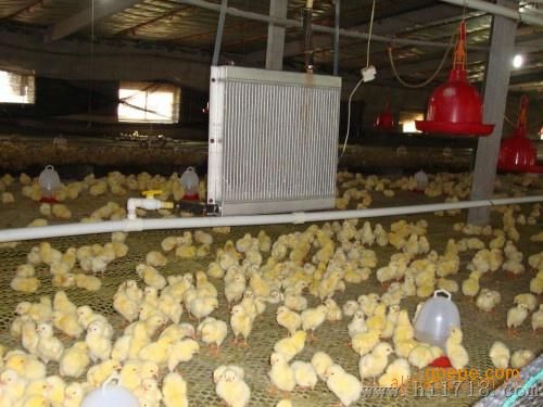 鸡舍取暖设备种类