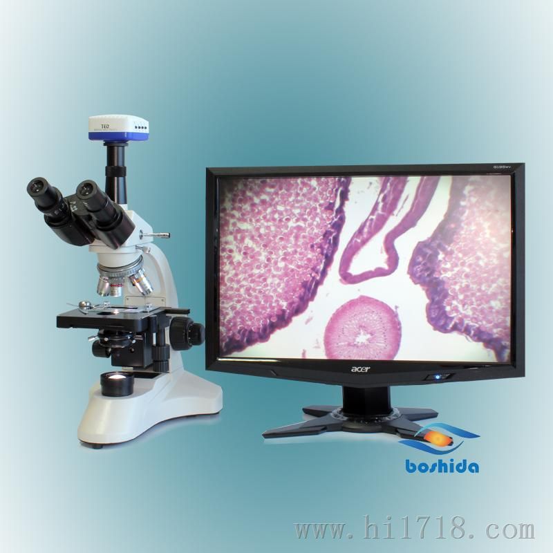 供应 高倍数 三目光学显微镜 可连接CCD 可测量 生物显微镜