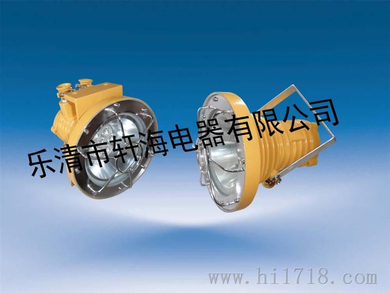 LED投光灯，DGS20W/127L矿用隔爆型LED投光灯