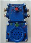 矿用声光信号装置KXT-127V/KXH127声光信号器价格