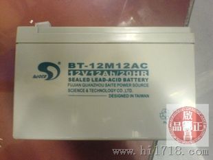 赛特蓄电池/BT-12M17AC/厂家直销