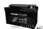 台湾东阳蓄电池6GFM100（12V100AH）代理商
