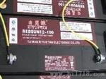 台湾日月潭蓄电池REDSUN12-24厂家代理商