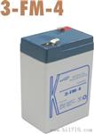 KSTAR科士达蓄电池6-FM-100B 12V100AH