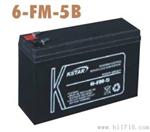 KSTAR科士达蓄电池6-FM-100B 12V100AH