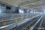 养鸡温控锅炉技术资料