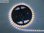 SMD5050LED软灯带 60灯