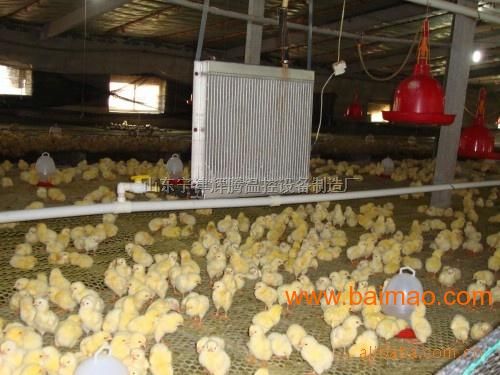 供应养鸡供暖锅炉结构合理