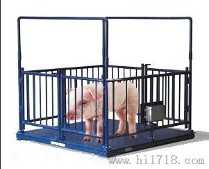 3吨电子动物秤 猪牛羊等动物称重秤 成都牲畜秤
