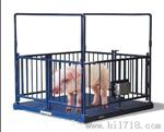 3吨电子动物秤 猪牛羊等动物称重秤 成都牲畜秤