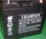 CHAMPION NP7-12蓄电池12V7AH代理报价