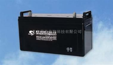 赛特蓄电池BT-HSE-100-12