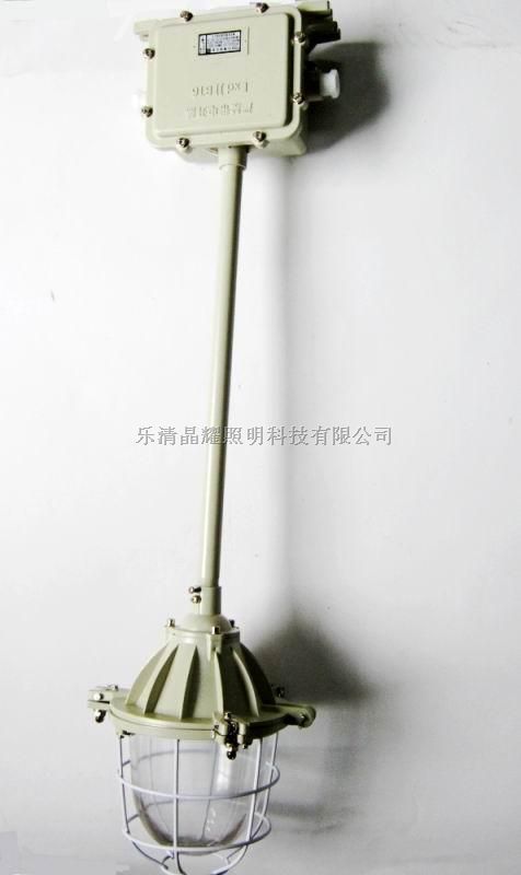 ccd-250隔爆防爆灯|ccd-200防爆节能灯