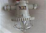 DGS18/127L矿用隔爆型LED巷道灯