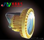 BAD85-M防爆高效节能LED灯20W/30W/40W