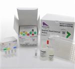 小鼠免疫球蛋白M(IgM)ELISA试剂盒