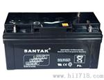 （SANTAK）6GFM65，12V65AH，免维护蓄电池20HR