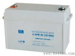 光宇蓄电池6-GFM-100 12V 100AH固定型阀控式铅酸蓄电池20HR