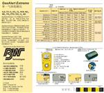 加拿大BW总代理，加拿大BW GAXT-H硫化氢检测仪
