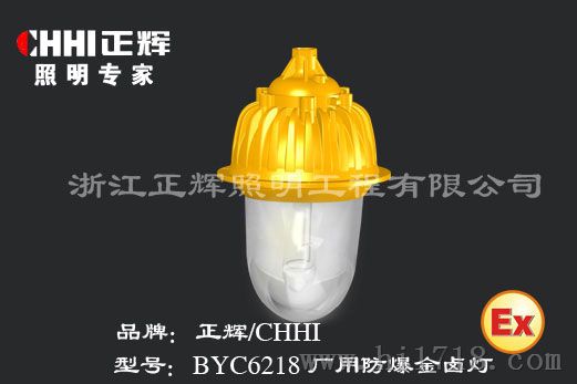 厂用防爆金卤灯BYC6218