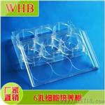WHB6孔TC处理透明塑料细胞培养板 
