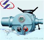DZW60电动执行器 |DZW60电动执行机构