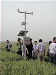 校园数字气象站、远程智能监测