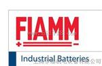 意大利fiamm电池原装12 FLB 100 优质供应商提供 型号