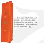 防爆型煤矿在线皮带探伤仪，在线输送带检测仪