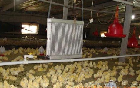 肉鸡养殖锅炉各项标准