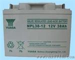 汤浅蓄电池NPL长寿命系列NPL38-12 12V38AH(12V,38AH)