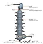 厂价直销YH5WZ-51/134SPE防爆自动脱离金属氧化物避雷器
