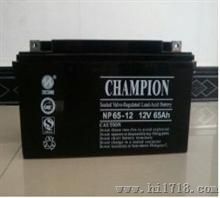 高低压配电柜EPS应急电源蓄电池NP65-12/12V,65AHCHAMPION电池