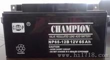 高低压配电柜EPS应急电源蓄电池NP65-12B/12V,65AHCHAMPION电池