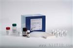 小鼠血管紧张素Ⅱ(ANG-Ⅱ)ELISA试剂盒