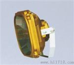SBD3109防爆泛光灯丨洪冠生产