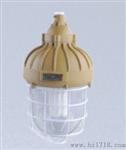 SBD3110 防爆投光灯‖LED防爆投光灯价格
