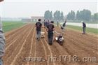 中国蔬菜播种机