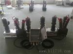 高压双电源切换自投装置-HZW32-12自动转换开关