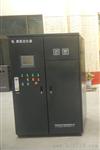 泳池水消毒器新方式臭氧发生器