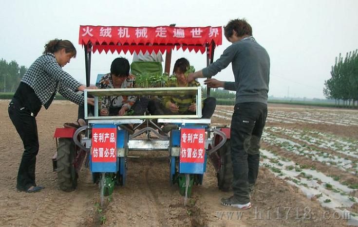 蔬菜移栽机,2ZBX系列悬挂式秧苗移栽机