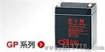 宁波GP12650/CSB蓄电池12V65AH代理