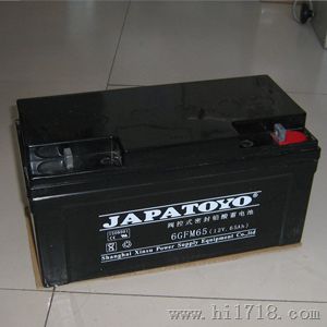 广东东洋蓄电池-日本东洋蓄电池-北京现货