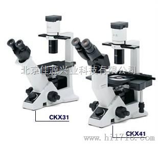 CKX31,CKX41奥林巴斯倒置显微镜