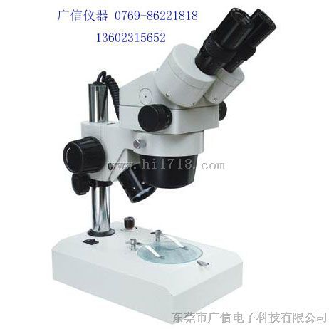 大量现货批发XTL-300显微镜