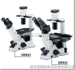 奥林巴斯CKX31倒置生物显微镜