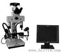 WBY-6C比较显微镜比对显微镜