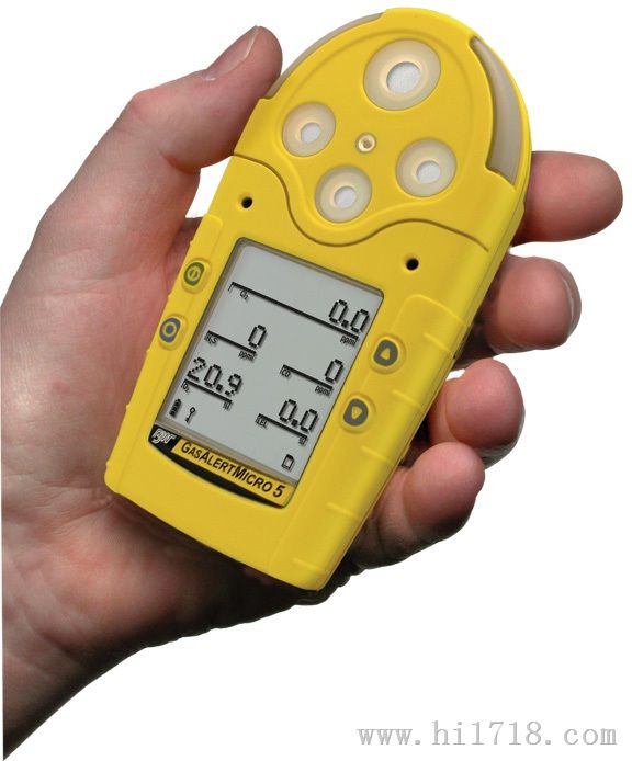 bw气体检测仪，有毒，有害，挥发性，VOC，氨气，氯气，臭氧检测仪