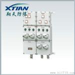 BXM(D)51防爆配电照明（动力）配电箱|上海定做