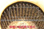 艾灸烟雾净化器生产厂家
